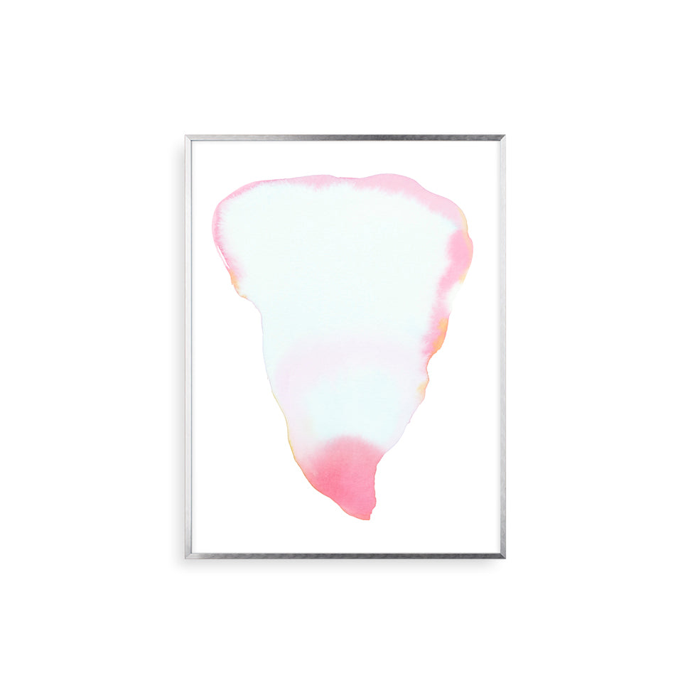 Petal Form, New Rose | Print by Malissa Ryder