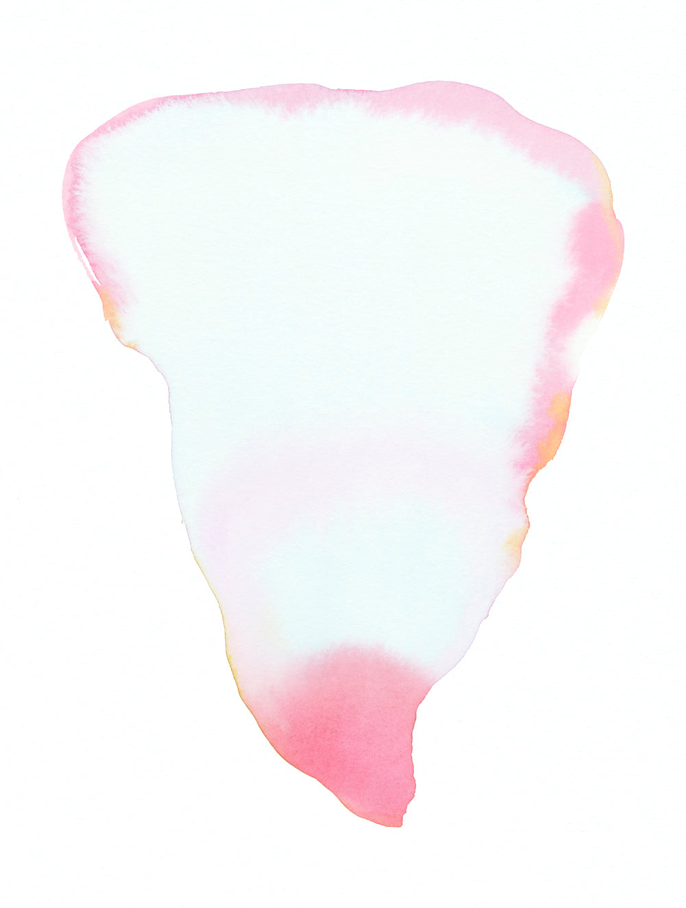 Petal Form, New Rose | Print by Malissa Ryder