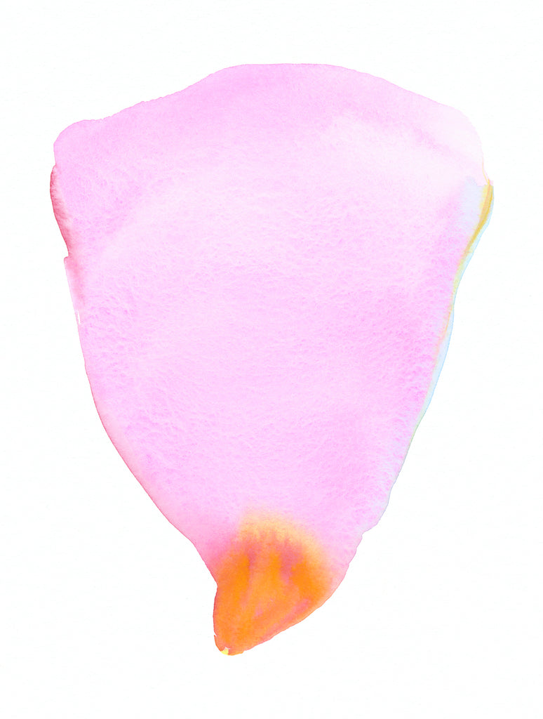Pink Petal Form | Print by Malissa Ryder