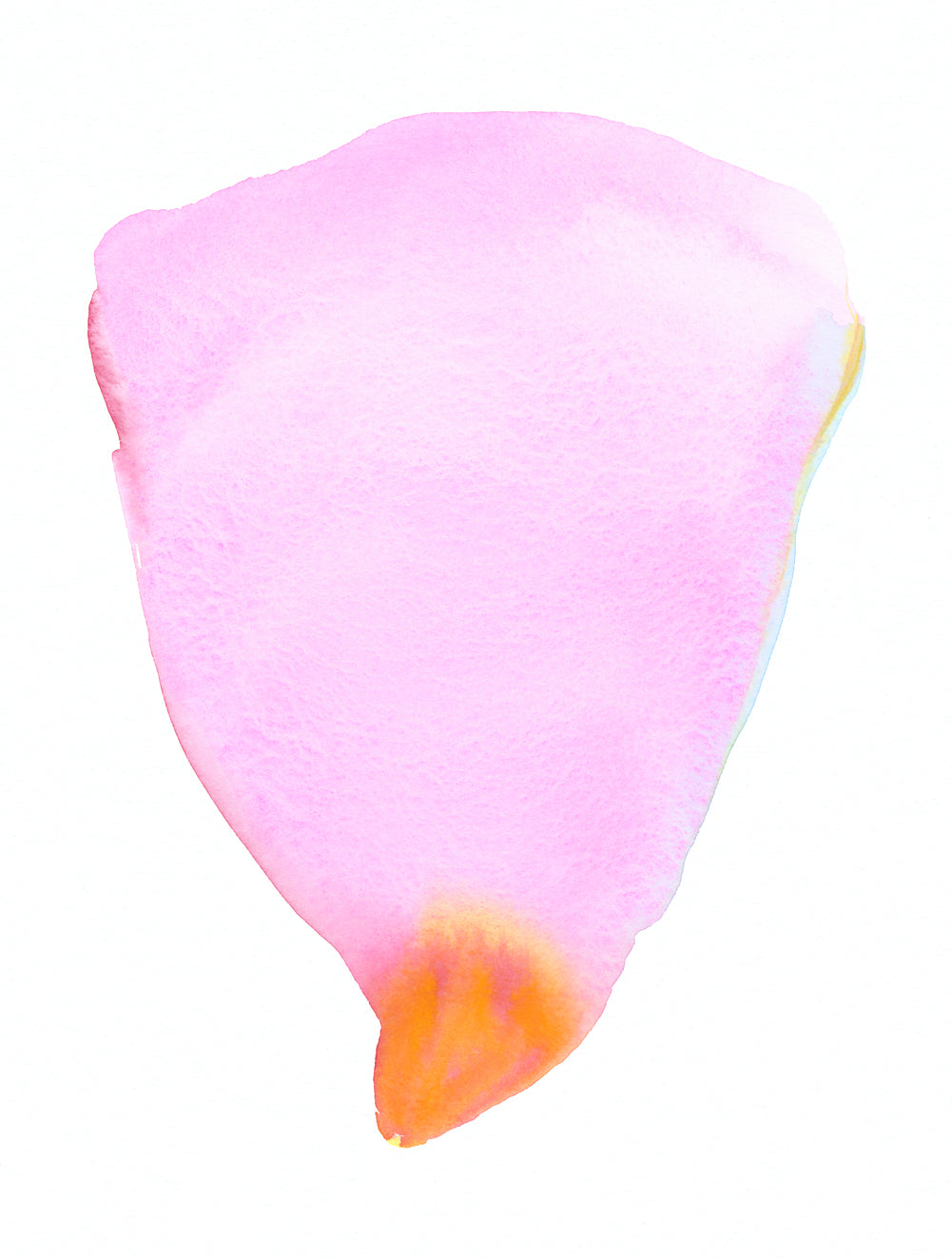 Pink Petal Form | Print by Malissa Ryder