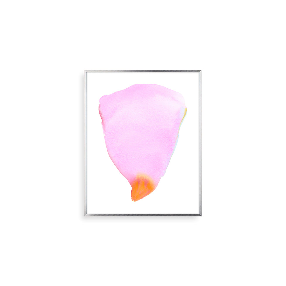 Pink Petal Form | Print by Malissa Ryder