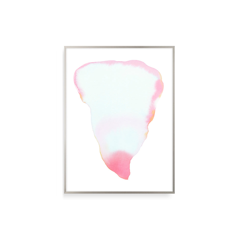 Petal Form, New Rose | Print by Malissa Ryder