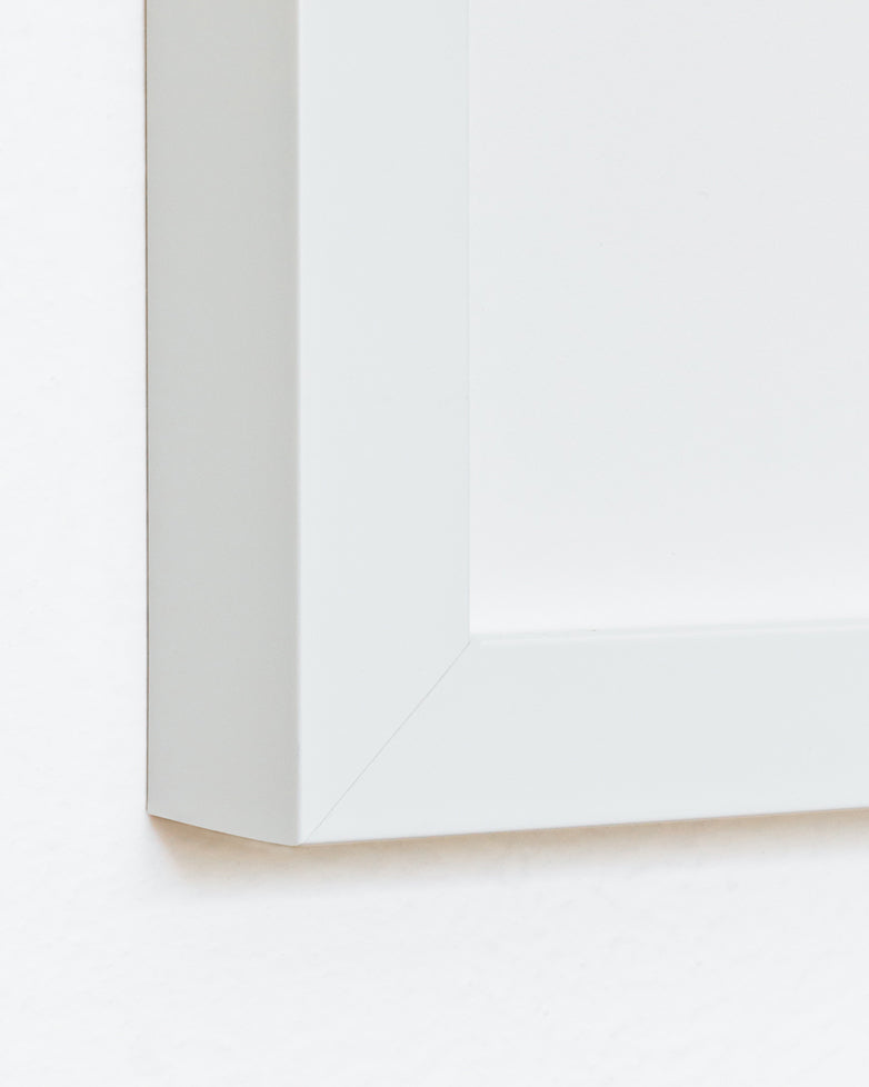 Spine | Print by Malissa Ryder