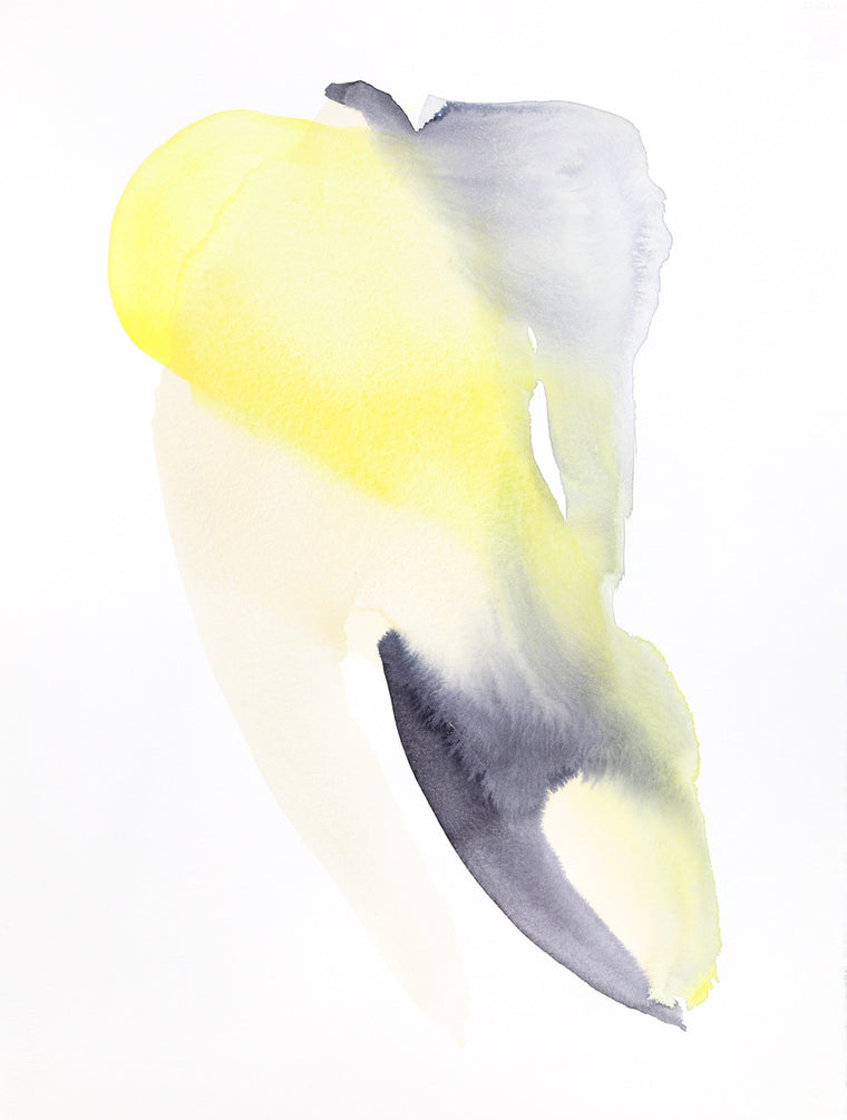 Firefly | Watercolor by Malissa Ryder